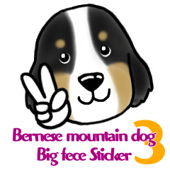 Bernese Mountain Dog Big Face Sticker！3