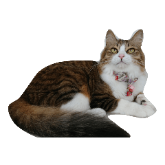 Anzu Cat Stamp 1