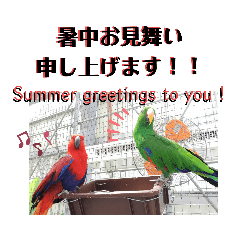 動物たちの夏が来た！by チノカフェ