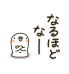 関西弁 白インコ（個別スタンプ：20）